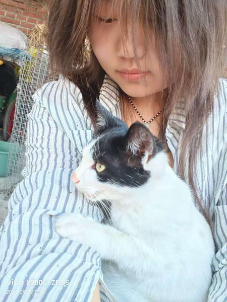 ℳ江辞゛-的主图